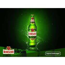Borsodi Beer Case