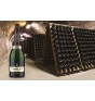 Torley / Hungaria   sparkling wine